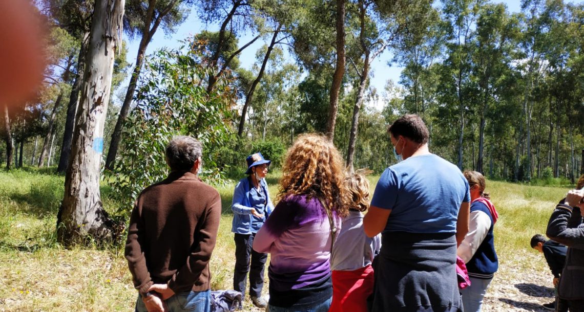 סיורי פריחות